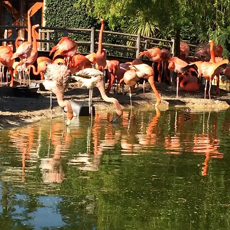 Charming In The Heart Of La Palmyre