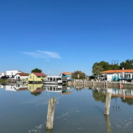 Charming In The Heart Of La Palmyre 公寓 *