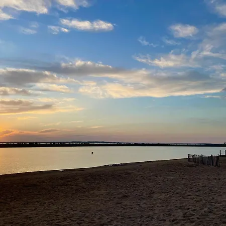 公寓 Charming In The Heart Of La Palmyre 莱马特