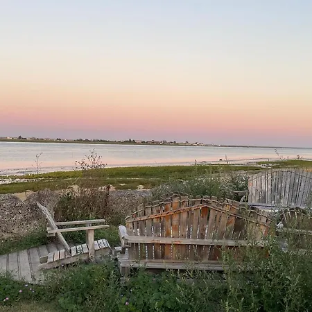 Charming In The Heart Of La Palmyre 公寓 *