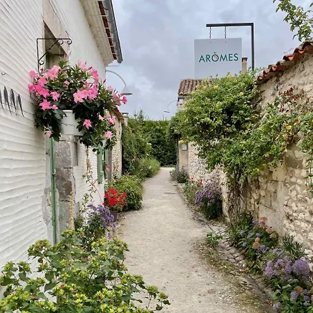 Appartamento Charming In The Heart Of La Palmyre *