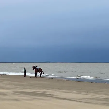 Charming In The Heart Of La Palmyre Appartamento Les Mathes